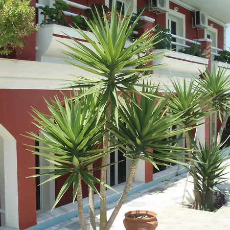 Lägenhet Crystal Kávos